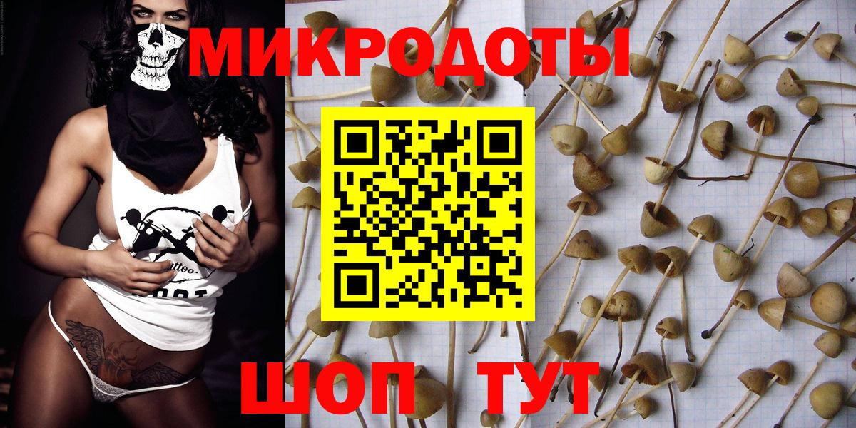 Псилоцибиновые грибы MAGIC MUSHROOMS  Галлюциногенные грибы MAGIC MUSHROOMS  Вход с VPN  Карачаевск 